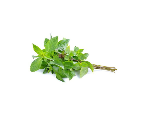 Basilic doux
