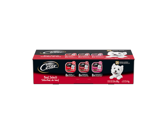 CESAR Pain Classique en Sauce Nourriture Humide pour Chiens Variété Sélection de Boeuf, Coupelles 24x100 g - Emballage économique;Sans objet;24;Plus d