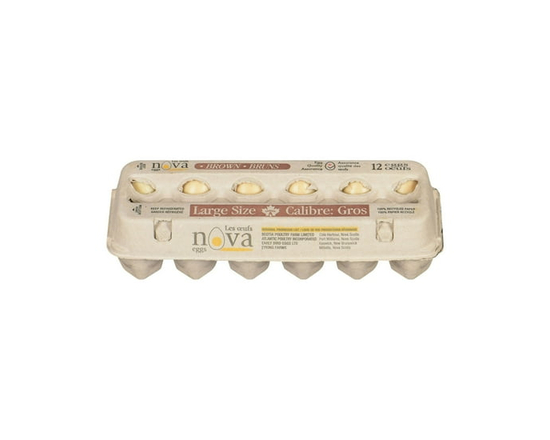 Nova Large Brown 12 Eggs - L