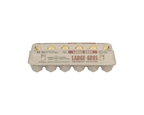 Nutri Gros Bruns 12 Œufs - L