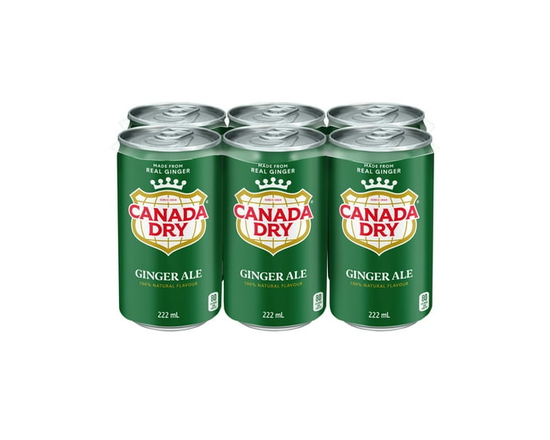 Soda gingembre Canada DryMD - Emballage de 6 mini-canettes de 222 mL - 222 ml