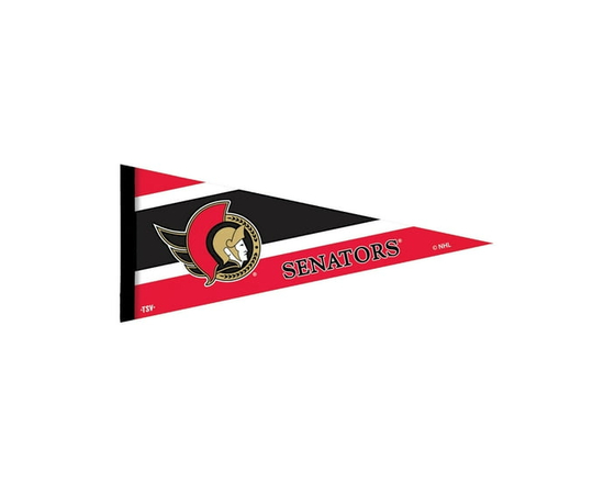 The Sports Vault Ottawa Senators Collector Pennant - 28