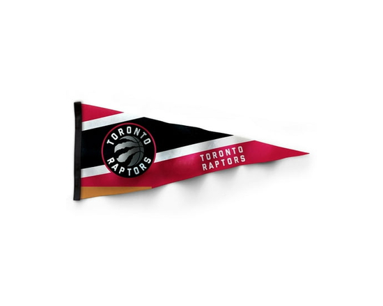 The Sports Vault Toronto Raptors Collector Pennant - 28
