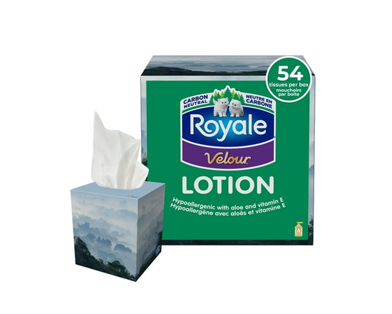 Royale Velour 3 Ply Facial Tissue, 1 box, 54 Tissues