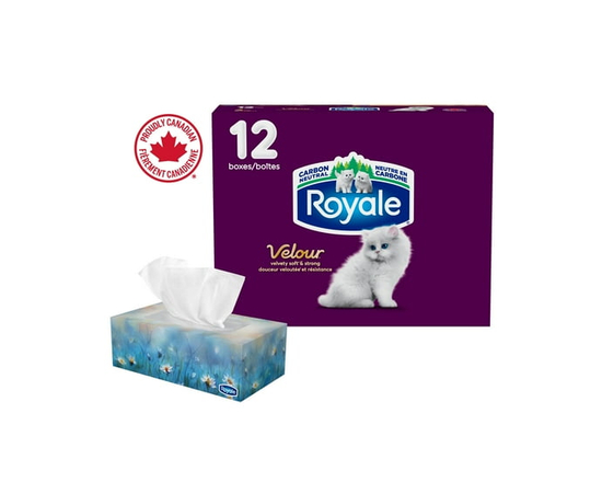 Mouchoirs Royale Velour, 12 boîtes, 82 mouchoirs par boîte