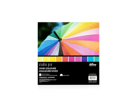 Hilroy® Studio Pro® Vivid Colours Cardstock 12x12 30ct