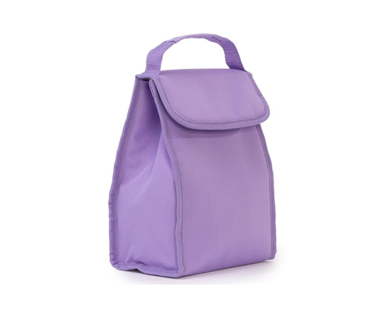Assorted Foldable Insulated Lunch Bags for Kids, Lunch Box for School