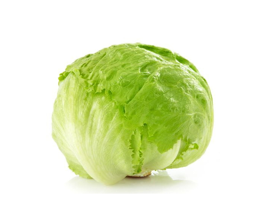 Lettuce, Iceberg