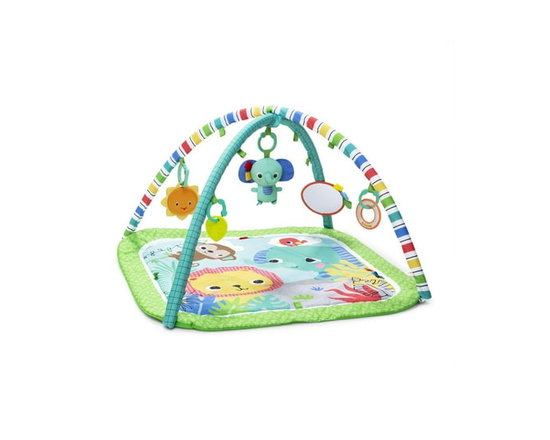 Bright Starts Wild Wiggles FoldAway Activity Gym, age group: 0M+ - 16814
