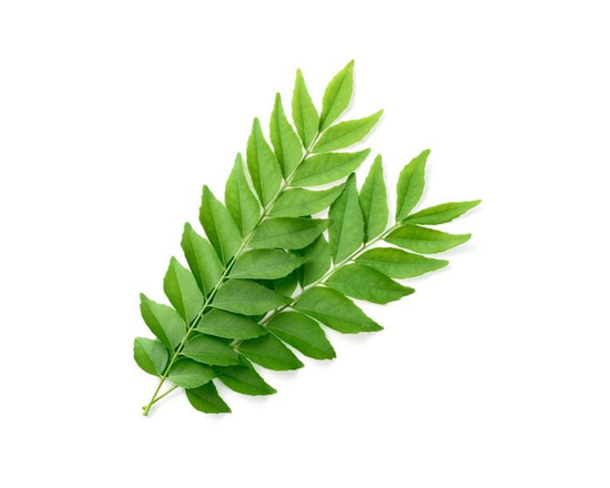 CURRY LEAF