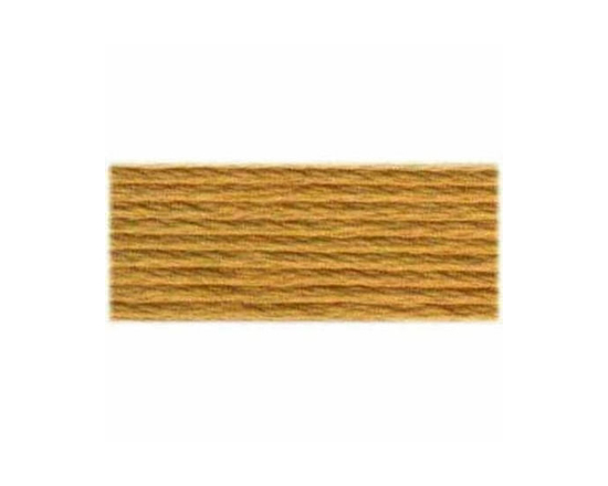 DMC Cotton 6 Strand Floss 8m – Beige/Brown Thread