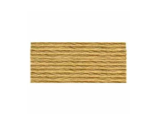 DMC 6-Strand Embroidery Floss 8 m (8.75 yd) - Beige/Brown 100% Cotton Thread - As shown in the picture