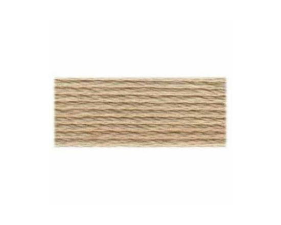DMC 6-Strand Embroidery Floss 8 m (8.75 yd) - Beige/Brown 100% Cotton Thread