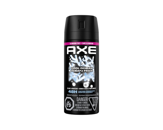 AXE Aluminum-Free Deodorant Body Spray Cool Ocean, 113 g - 113 g