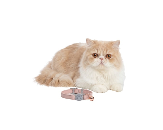 One Paw, Vegan Leather Safety Cat Collar, Breakaway Buckle, for Cats - One Size (PINK)