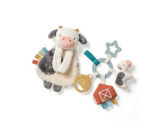 Itzy Ritzy Bitzy Busy Gift Set