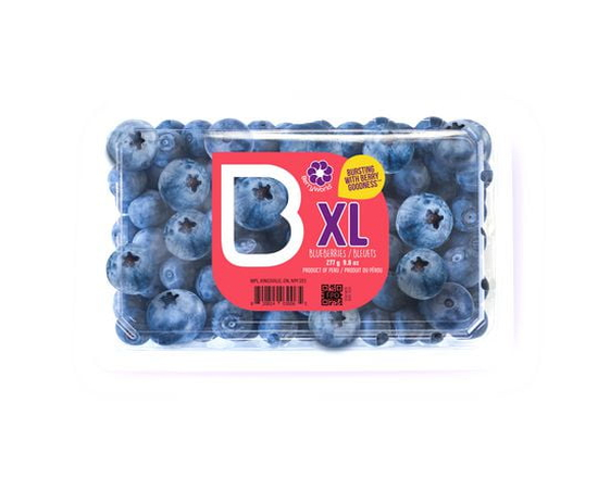 Bleuets XL