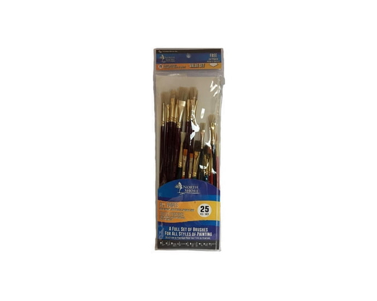 25 PC PAINTBRUSH SET