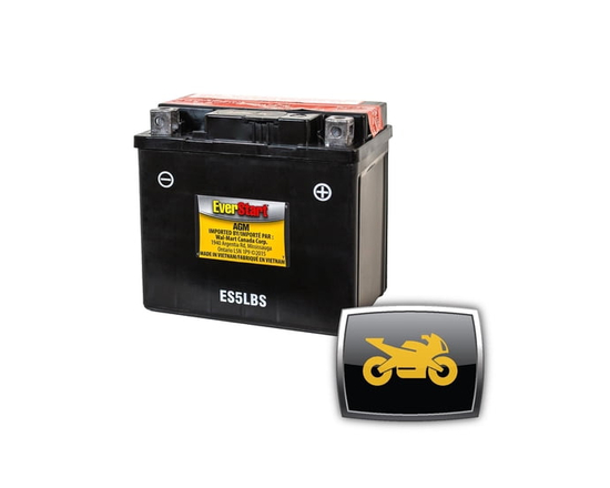 EverStart POWERSPORT ES5LBS, 12 Volt, Power Sports Battery, 75 CCA
