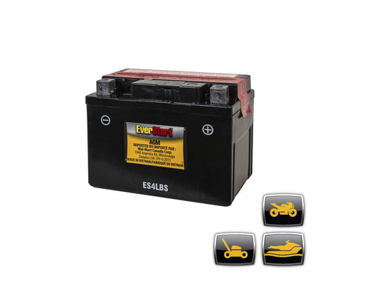 EverStart Powersport ES4LBS, 12 Volt, Power Sports Battery, 50 CCA