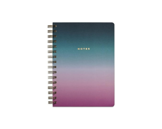 Carnet à spirales souple et flexible Think Ink, ombré bleu et violet, 15,2 x 21 cm, 160 pages
