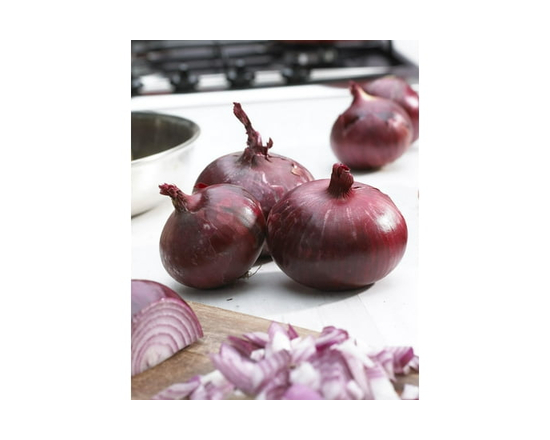 Bulbes d'oignon Tasc – Bulbe d'oignon rouge Red Karmen