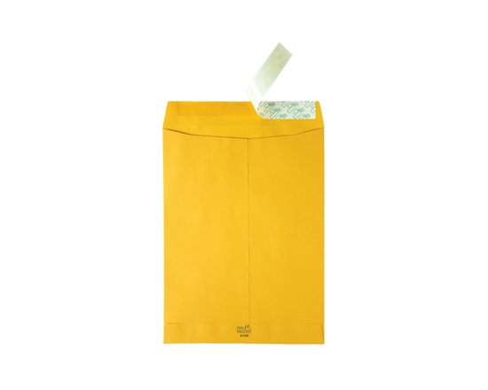 9x12 Catalog Peel & Seal Envelope, Brown Kraft