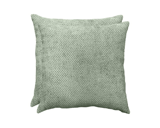 Mainstays Dita Decorative Cushion, 20x20 in, Brown 2-Pack - 20 in x 20 in (Sage)