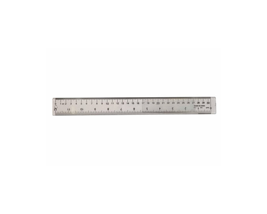 PLASTIC RULER - 12"