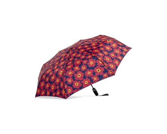 Compact ouverture et fermeture automatiques Rain et Sun