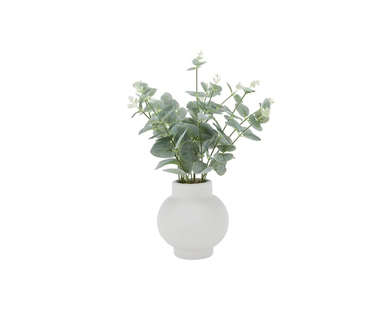 Anko Artificial Eucalyptus Stems in Vase